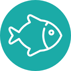 Processed Seafood Icon